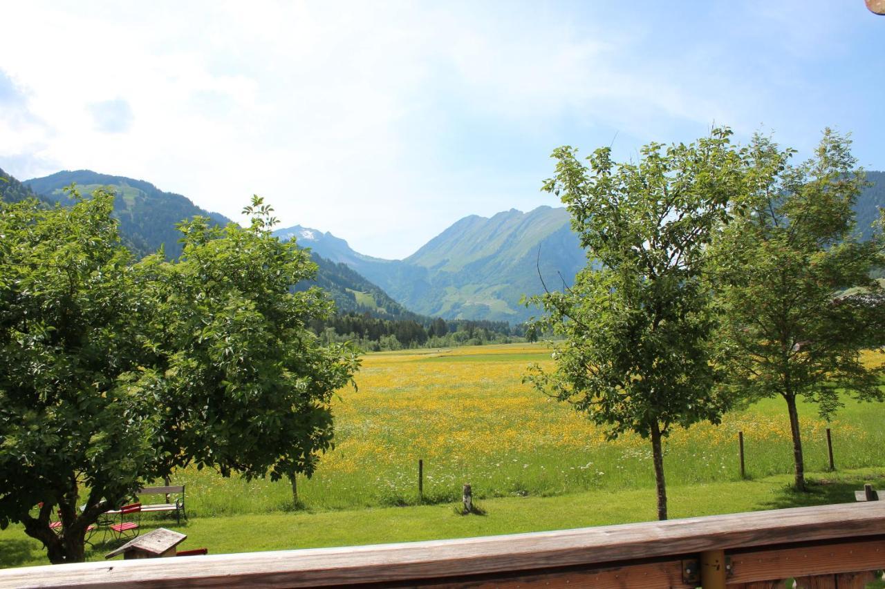 Gaemsle Hotel, Wirtshaus & Mehr Schoppernau Extérieur photo